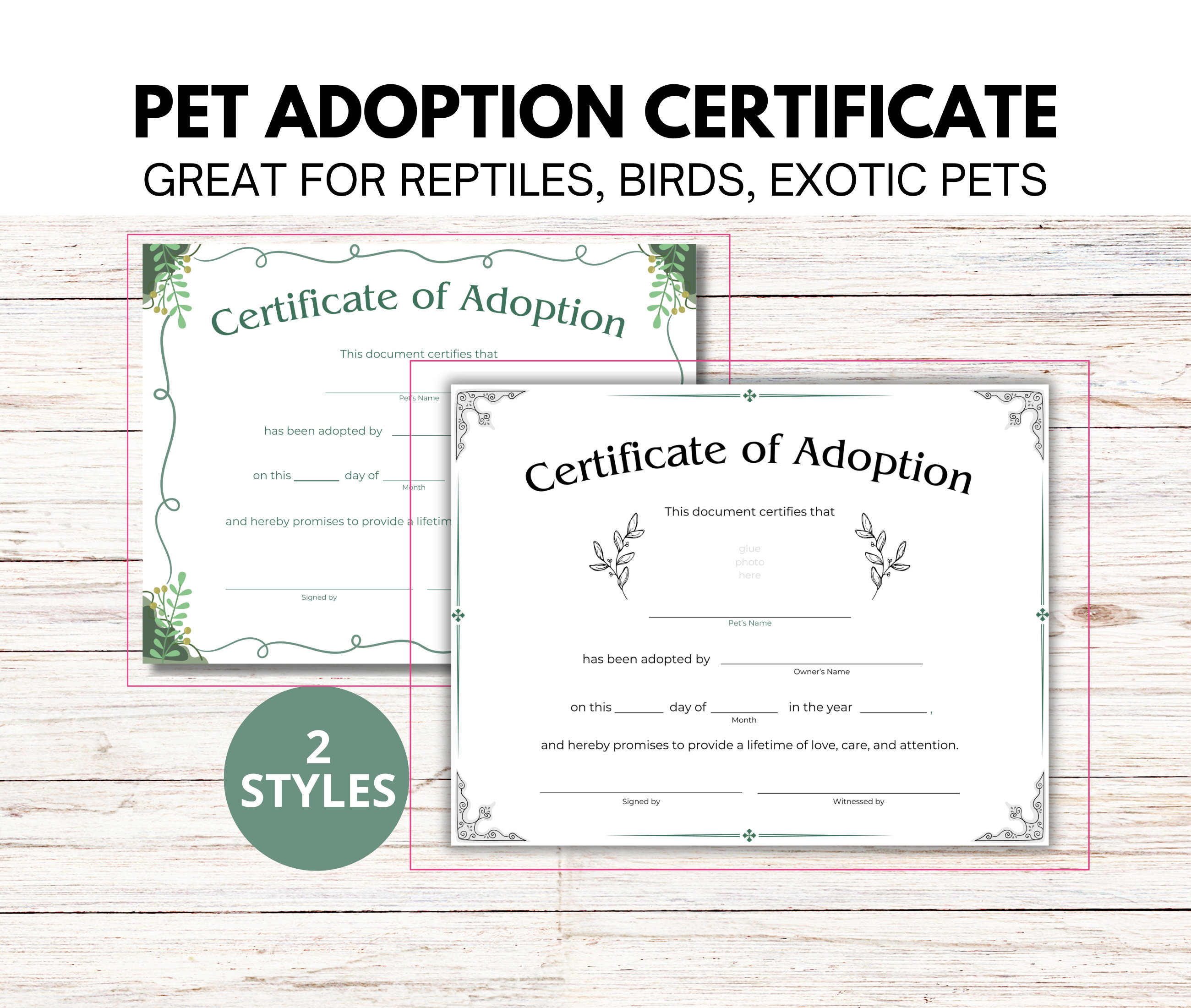 Reptile Rescue Form Pet Reptile Adoption Certificate, Breeder Certificate of Adoption - Etsy
