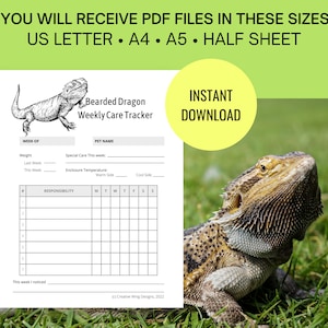 Reptile Chore Chart, Bearded Dragon Care Tracker, Pet Feeding Log Planner Insert image 3