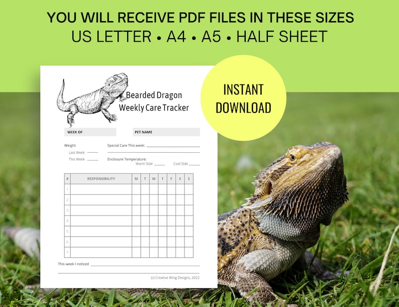 Reptile Chore Chart, Bearded Dragon Care Tracker, Pet Feeding Log Planner Insert image 3