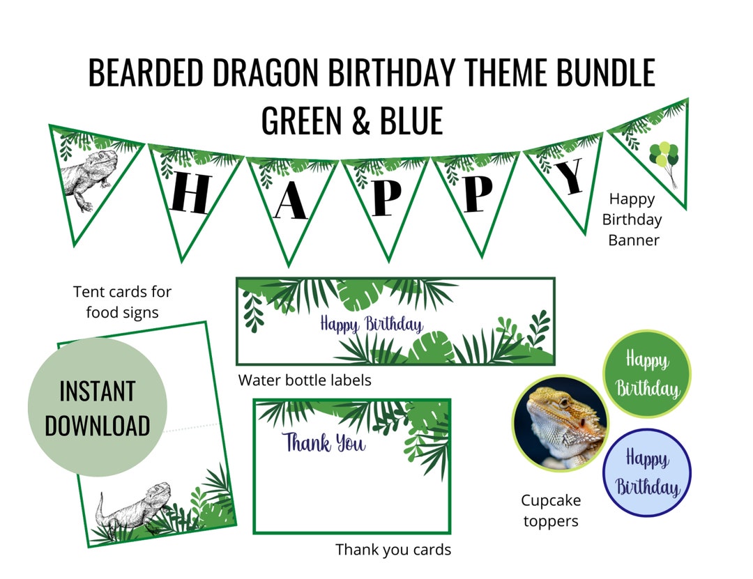 Bearded Dragon Birthday Party Bundle Blue and Green, Reptile Party Decorations, Reptile Happy
