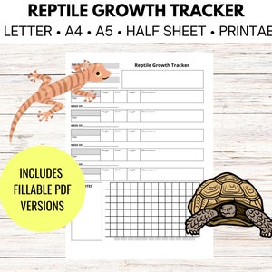 Puede incluir: Seguimiento de crecimiento de reptiles imprimible con un gecko marrón y naranja y una tortuga marrón. El seguimiento incluye secciones para el peso, la circunferencia, la longitud, la fecha y las observaciones. El seguimiento también incluye una cuadrícula para notas.