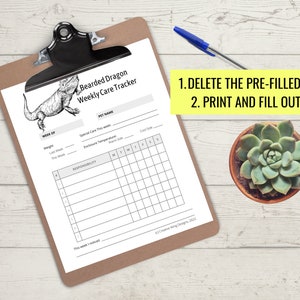 Reptile Chore Chart, Bearded Dragon Care Tracker, Pet Feeding Log Planner Insert image 5