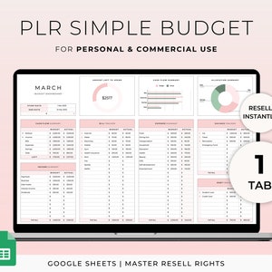PLR Budget Template for Google Sheets Master Resell Rights Commercial Use PLR Monthly Budget Spreadsheet Financial Planner Expense Tracker