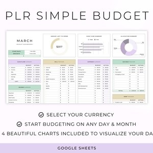 PLR Budget Template for Google Sheets Master Resell Rights Commercial ...