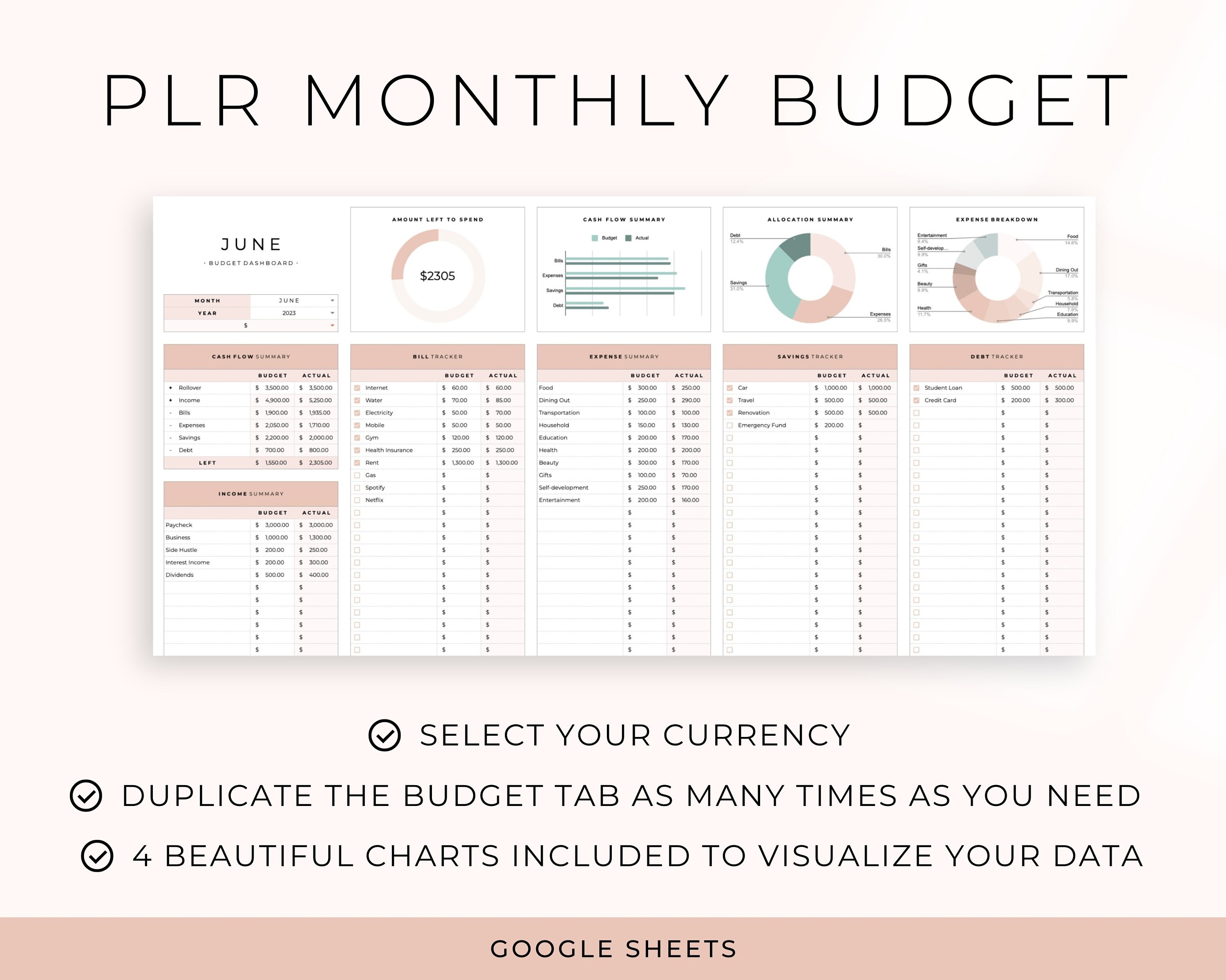 PLR Budget Template for Google Sheets Master Resell Rights Commercial ...