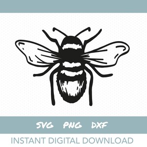 Bee SVG | Honey bee cutting file | Bee clipart | Instant digital download
