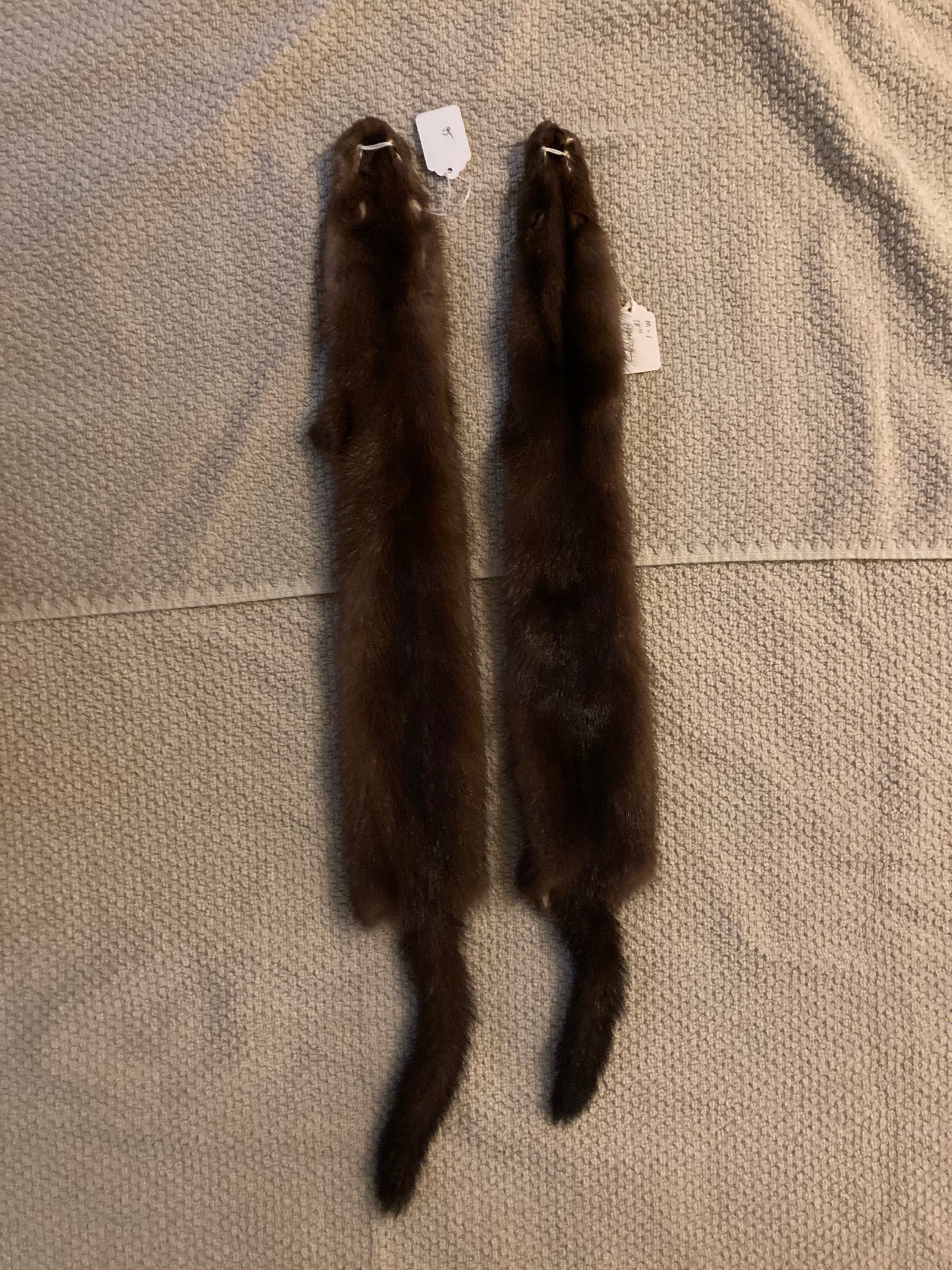 Mink Pelts, Professionally Tanned Select Quality 18 Etsy