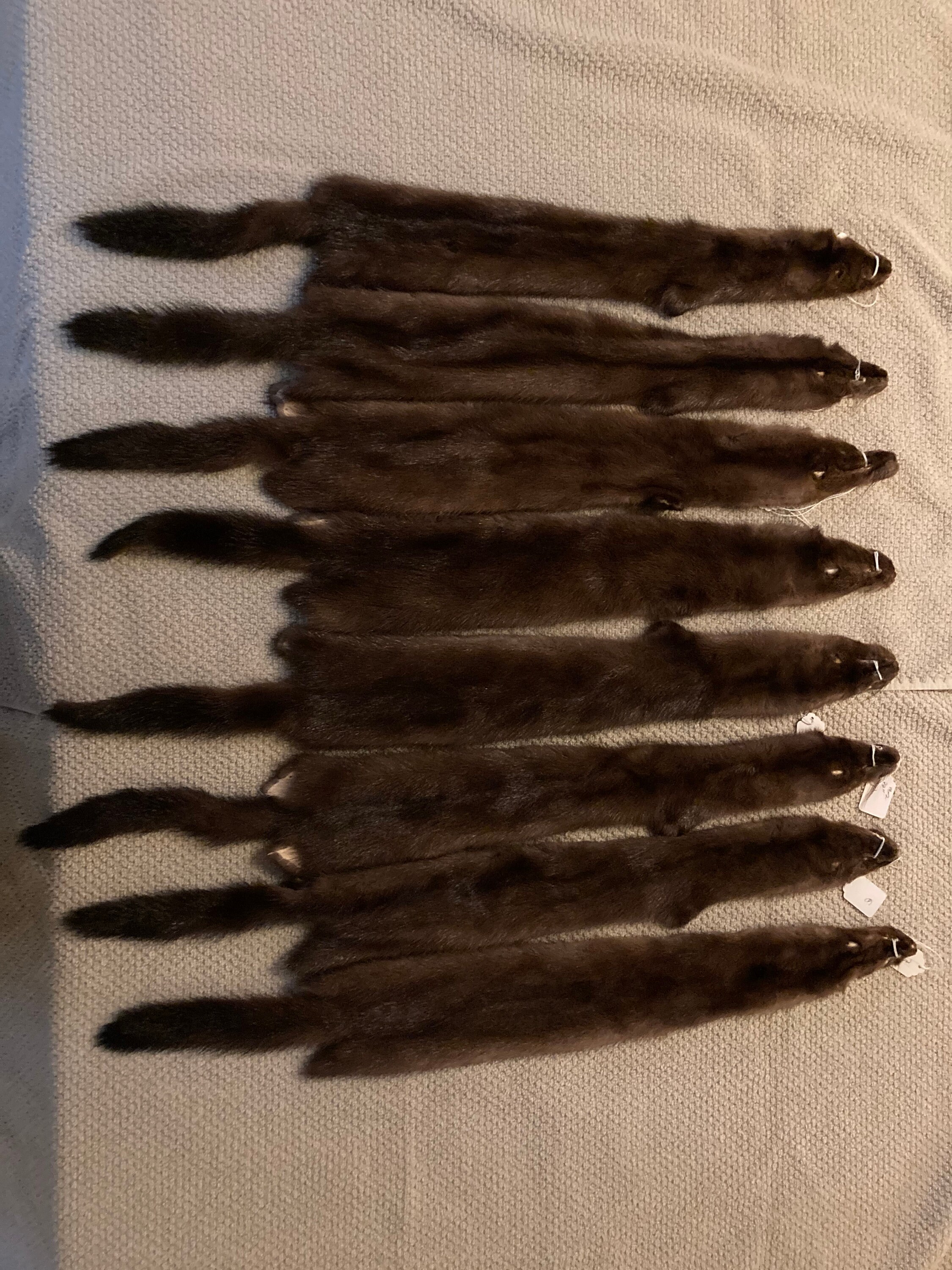 Mink pelts professionally tanned select quality Etsy