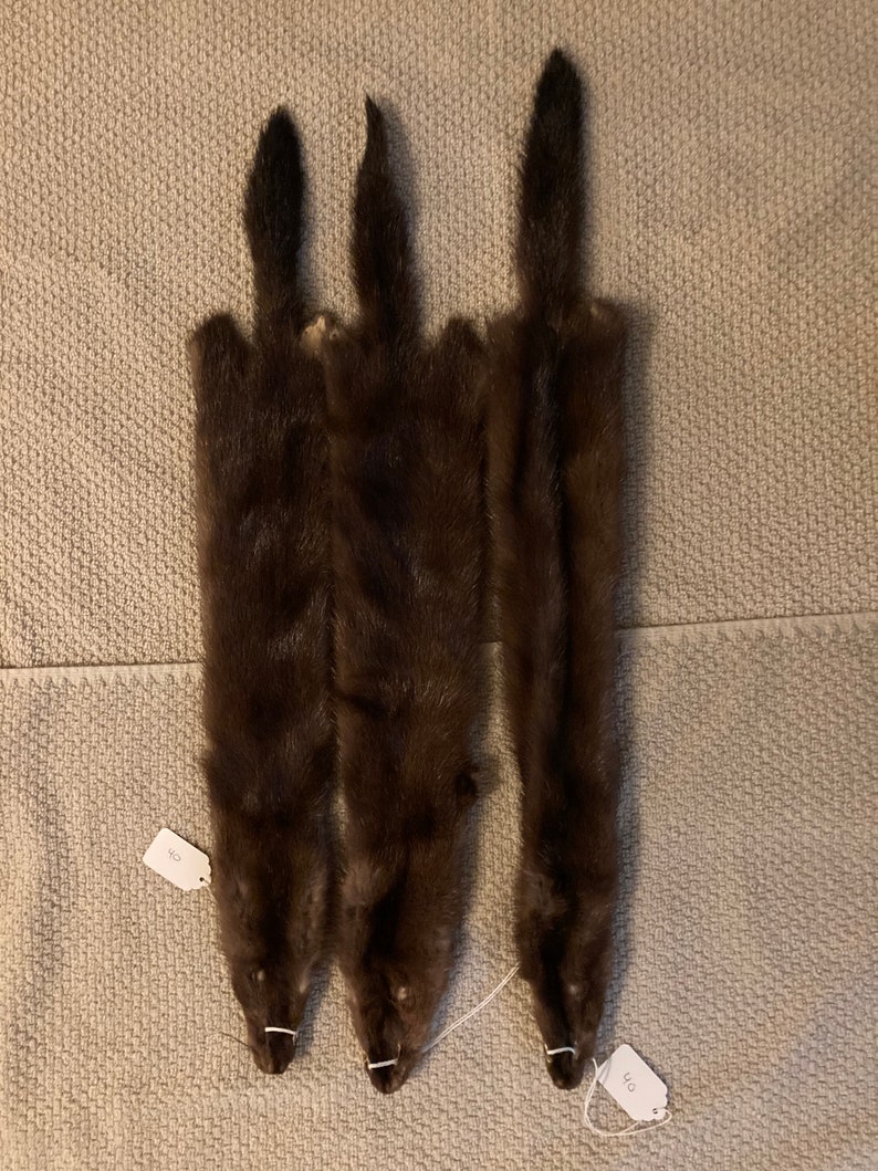 Mink Pelts Professionally Tanned Select Quality Etsy