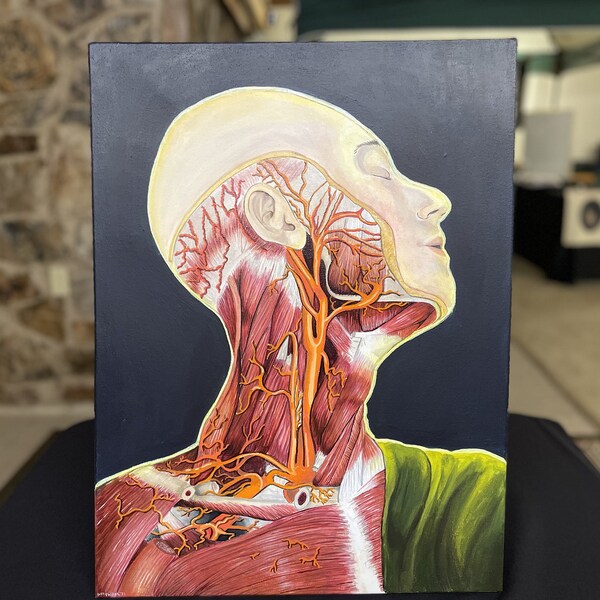 Anatomy art print