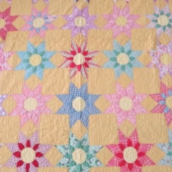 Antique Vintage Missouri Daisy Quilt