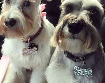 Médaille d'identification personnalisée pour animal de compagnie en cristal autrichien, collier Bling pour chien et chat