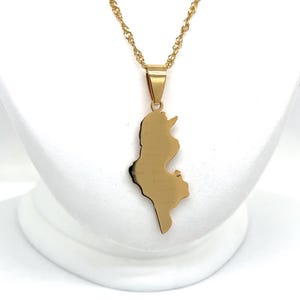 Tunisia Map Necklace - Gold Version