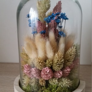 Cloche en verre décorative fleurs séchées et mousse "LAGURUS ET CHATONS"
