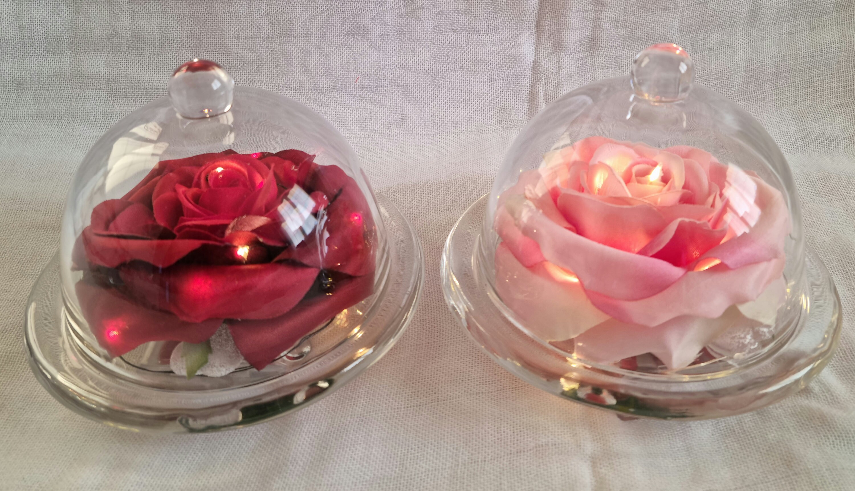 Mini Cloche en Verre Lumineuse Rose Rouge ou Mini Cloche Rose