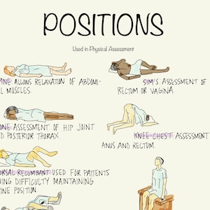 May include: Illustration of different patient positions used in physical assessment. The positions include supine, prone, Sims', knee-chest, and dorsal recumbent. Each position is labelled with its name and a brief description of its purpose.