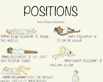 May include: Illustration of different patient positions used in physical assessment. The positions include supine, prone, Sims', knee-chest, and dorsal recumbent. Each position is labeled with its name and a brief description of its purpose.