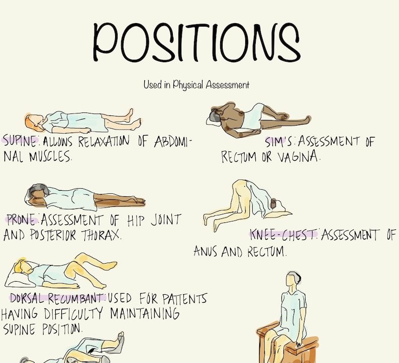 Nursing Positions for Physical Assessment Etsy