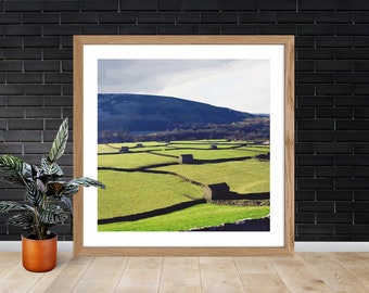 Yorkshire Landscape - Swaledale Graphic Print