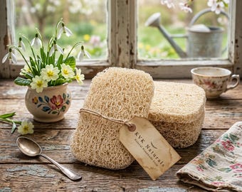 Tampon économiseur de savon respectueux de l'environnement : non toxique, séchage rapide