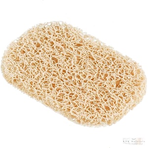 May include: A beige, rectangular loofah sponge with a textured, web-like appearance. The natural bath product is made of plant fibers and is used for exfoliating the skin. The loofah is approximately 5 inches long and 3 inches wide.