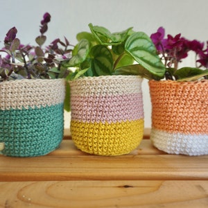 May include: Three crocheted plant pots in different colors. The pots are white, green, and yellow with a pink stripe. The pots are filled with plants.
