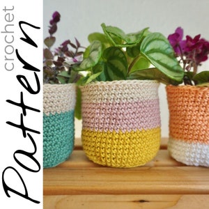 Può includere: Tre vasi per piante all'uncinetto in diversi colori. I vasi sono realizzati con un motivo a righe in crema, rosa, giallo, verde, arancione e bianco. I vasi sono pieni di piante.