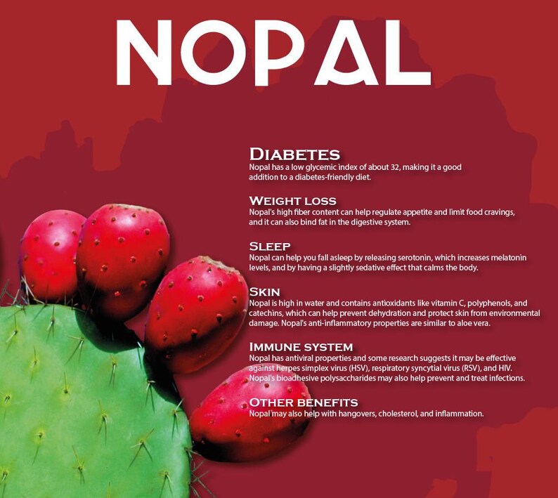 Nopal Prickly Pear Cactus Opuntia Etsy
