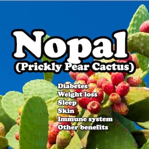 Nopal, Prickly Pear Cactus Opuntia