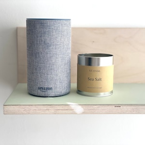 May include: A gray Amazon smart speaker and a metal tin of sea salt sit on a light green shelf. The speaker is cylindrical with the Amazon logo. The sea salt tin has a tan label with the text "Sea Salt".