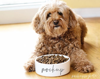 Mini Golden Doodle Stock Photo | Pet Ceramic Bowl Mockup | Dog Bowl Mockup | Styled Pet Mockup | Pet Food Bowl Digital File