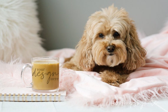 Cute Mug Mockup with Dog | Clear Glass Mug Photo | Cozy Dog Mug Mockup | Lifestyle Stock Photography | Coffee Mug Mockup | Mug Digital JPG