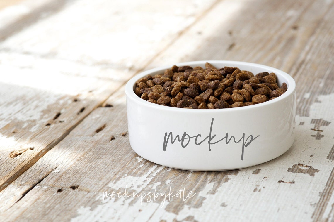 8463+ Dog Bowl Mockup