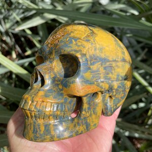 Pietersite Carved Crystal Skull
