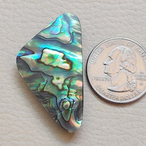 Cabochão de concha de abalone natural, concha de abalone, pedra preciosa solta, concha de abalone semipreciosa, presente para ela, faça para joias!!