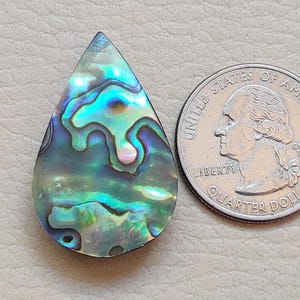 Cabochão de concha de abalone natural, concha de abalone, pedra preciosa solta, concha de abalone semipreciosa, presente para ela, faça para joias!!