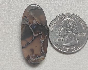 May include: An oval gemstone featuring a distinctive pattern of brown, grey, and white veining. A U.S. quarter coin is placed beside the stone for scale. The polished surface of the stone reflects light, accentuating its natural textures.