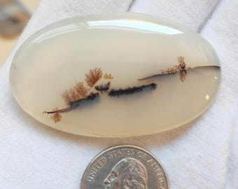 May include: A white agate cabochon with brown and black dendritic patterns resembling trees. The cabochon is oval shaped and measures approximately 1 inch in diameter.