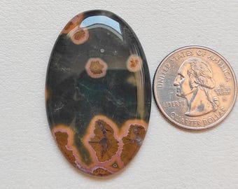 May include: A dark green and brown oval cabochon with a pattern of light brown and pink dendrites. The cabochon is about the size of a US quarter.