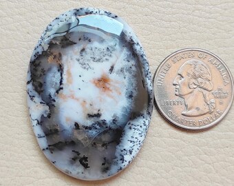 May include: Oval shaped, white agate cabochon with black and brown dendritic inclusions. The cabochon is approximately the size of a US quarter.