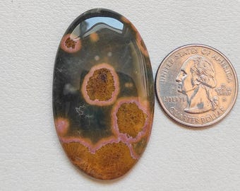 May include: An oval-shaped polished gemstone with a dark green base, featuring brown and pink circular patterns. A US quarter coin is placed next to the gemstone for size comparison. The gemstone has a glossy finish.