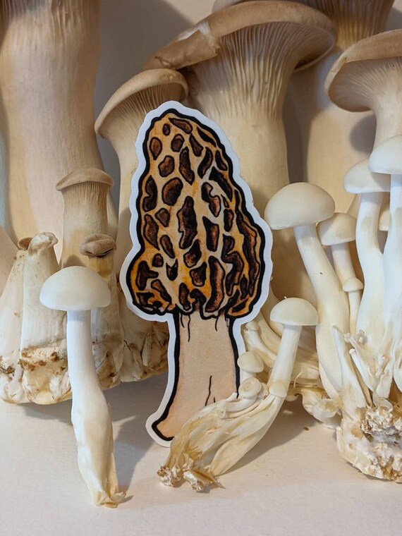 Morel Mushroom Waterproof Sticker Etsy