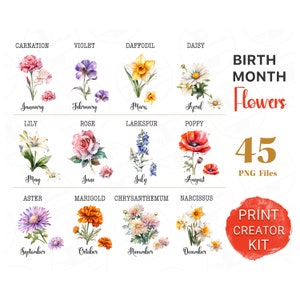 Geboortemaand bloemen clipart aquarel bloemen PNG bundel DIY geboortemaand bloemenprint Creator Kit bloem grafische botanische clipart