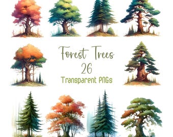 Clipart di alberi della foresta di acquerelli Alberi di pino PNG Foresta di pini Alberi del bosco File PNG trasparenti individuali Clipart di acquerelli 26 png
