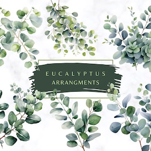 Watercolor Greenery Eucalyptus Clipart PNG Transparent Eucalyptus Bouquet Greenery Clipart Eucalyptus Clipart Green Foliage Green Leaves