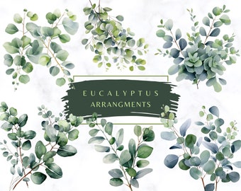 Acuarela Greenery Eucalyptus Clipart PNG Ramo de eucalipto transparente Greenery Clipart Eucalyptus Clipart Follaje verde Hojas verdes
