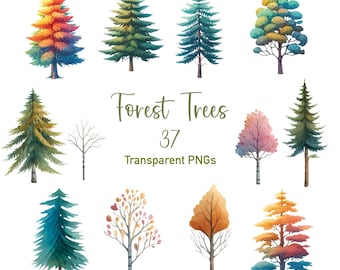 Clipart di alberi della foresta di acquerelli Alberi di pino PNG Foresta di pini Alberi del bosco File PNG trasparenti individuali Clipart di acquerelli 37 png