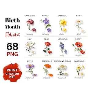 Birth Month Flowers Clipart PNG bundle DIY Birth Month Flower Print Creator Kit Flower Graphic Botanical Clipart Cute Gift