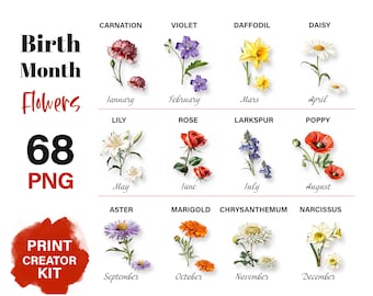 May include: A chart of birth month flowers with illustrations of each flower. The flowers are arranged in a grid with the month of the year listed below each flower. The flowers include carnation, violet, daffodil, daisy, lily, rose, larkspur, poppy, aster, marigold, chrysanthemum, and narcissus.