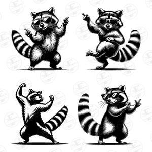 Puede incluir: Cuatro ilustraciones en blanco y negro de mapaches con gafas de sol en varias poses. Cada mapache tiene una cola rayada y se representa en un estilo din&aacute;mico y juguet&oacute;n, con uno se&ntilde;alando y otro flexionando.